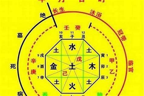 天人八字|生辰八字算命、五行喜用神查询（免费测算）